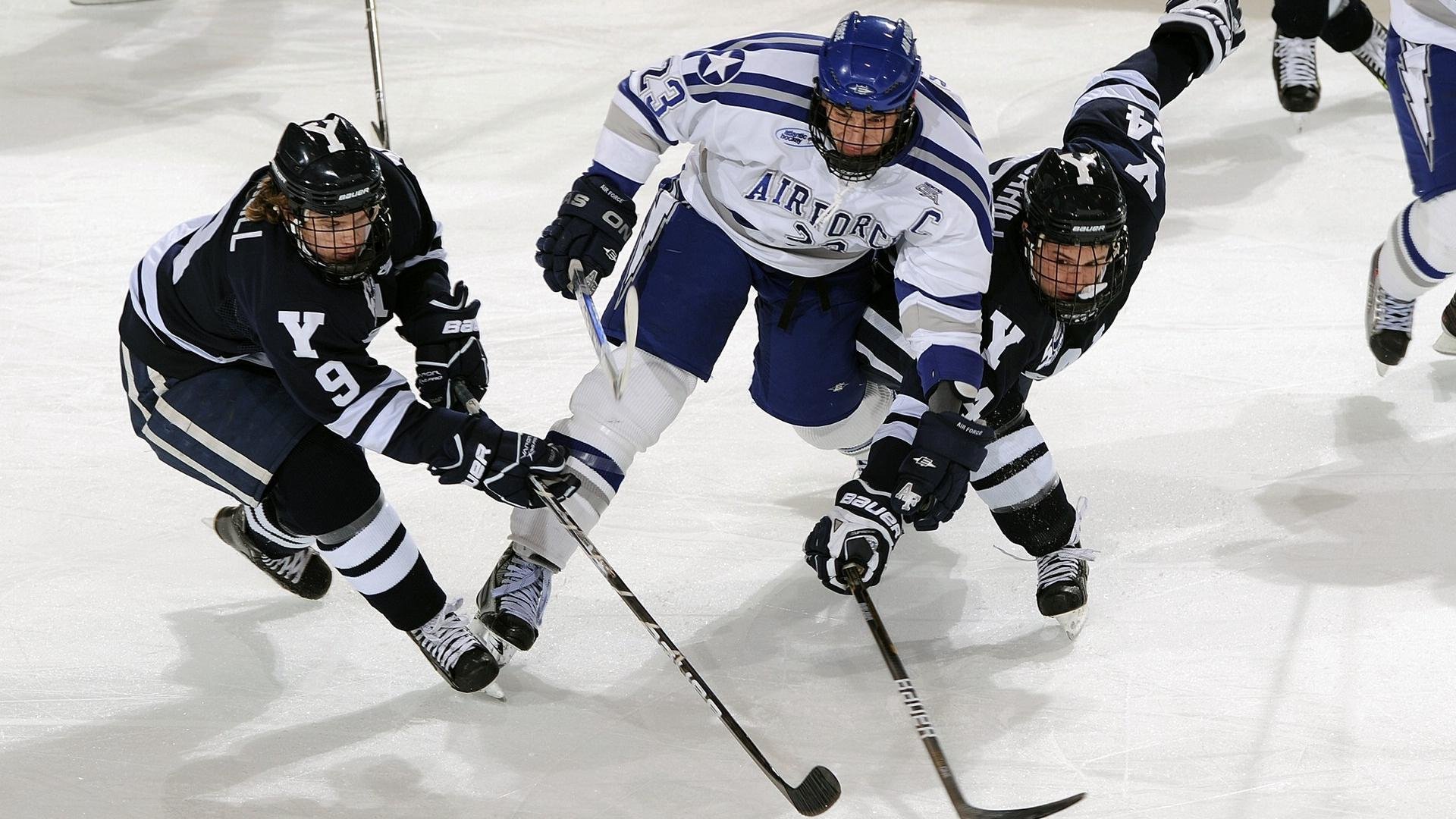 避难所体育节：灾难中的坚持与希望